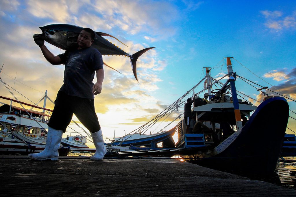 tuna port complex, gensan fish port, tuna festival, tuna festival 2023 gensan, tuna festival history, general santos city tuna festival, tuna festival costume, tuna festival description, tuna festival date, tuna festival in mindanao, tuna festival in general santos city,