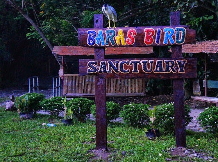 BARAS BIRD SANCTUARY IN TACURONG, tourist spot in mindanao, northern mindanao tourist spots, brochure mindanao tourist spots, siargao mindanao tourist spots, best tourist spot in mindanao, STL result today in mindanao,