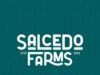 Salcedo Farms: A Riverside Kubo Escape in South Cotabato salcedo farms, farm stay south cotabato, kubo stay polomolok, creekside cabin mindanao, nature escape soccsksargen, eco stay philippines,