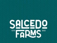 Salcedo Farms: A Riverside Kubo Escape in South Cotabato salcedo farms, farm stay south cotabato, kubo stay polomolok, creekside cabin mindanao, nature escape soccsksargen, eco stay philippines,